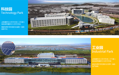 专业税务服务公司简介